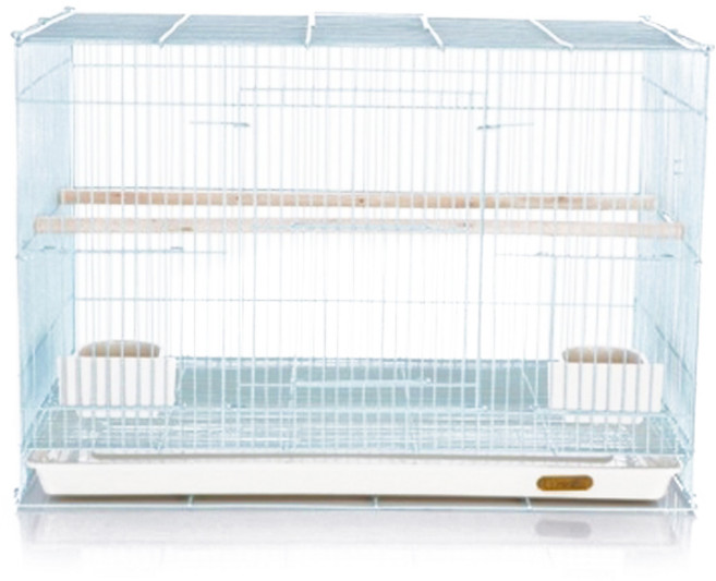 철재 새장 대 503, 블루, 1개