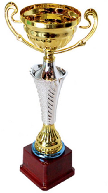 스투피드 대회용 우승 시상 트로피 실버 LINE컵 35cm, 혼합색상, 1개