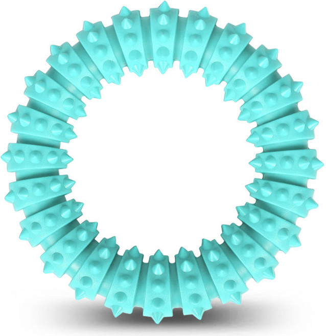 딩동펫 반려동물 스터드 치석제거링 장난감, 민트, 1개