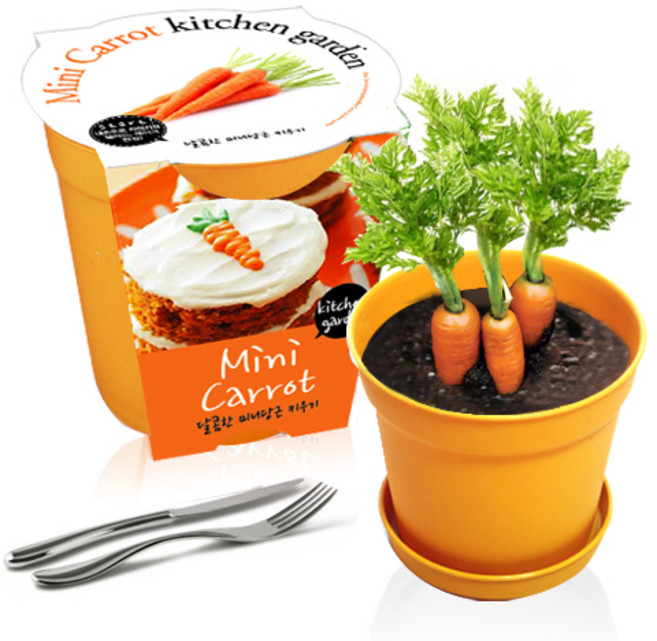 세경팜 컬러키친가든 텃밭가꾸기세트 옐로우, 미니당근