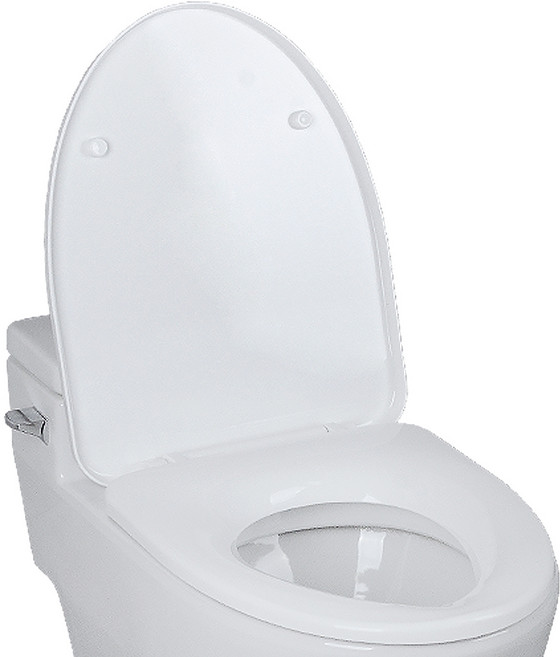 D자 무소음 댐퍼 변기시트 특대형, 1개