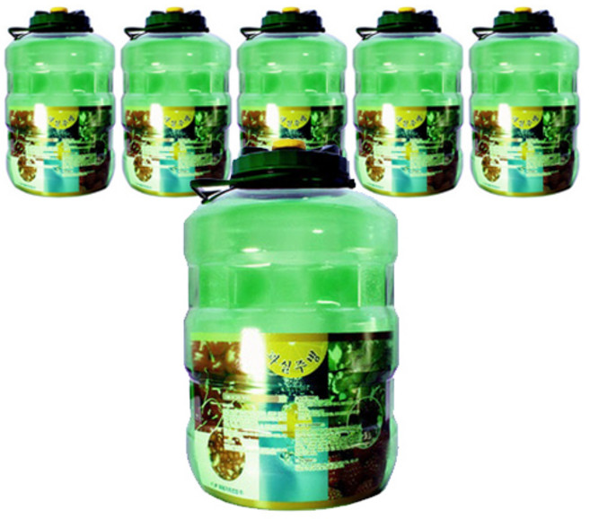 뉴그린 과실주병, 22L, 6개