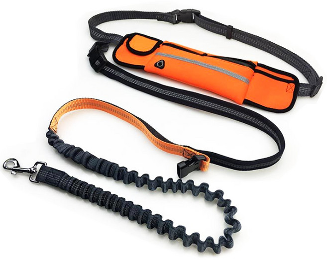 네츄럴프로 반려동물 힙색 리드줄, 오렌지, 1개