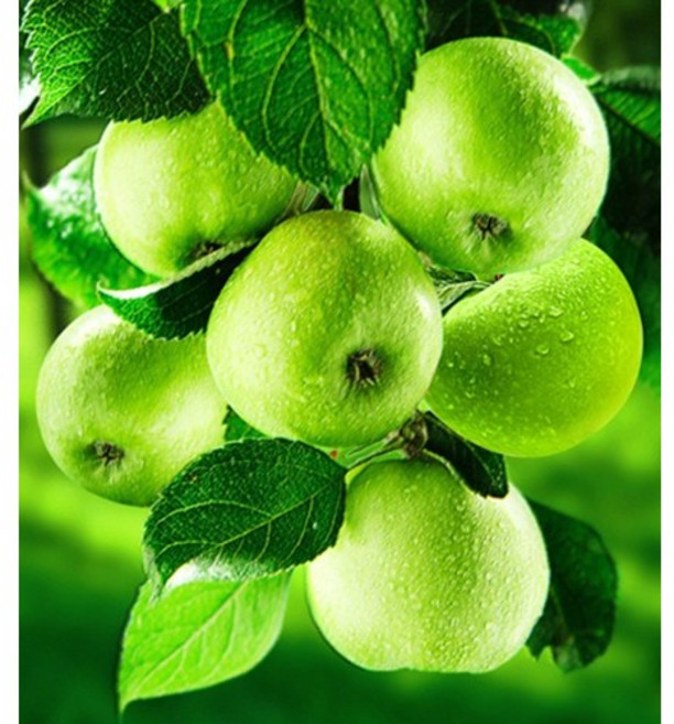 조이십자수 11CT 프린트 십자수 DIY세트 200402, 1개