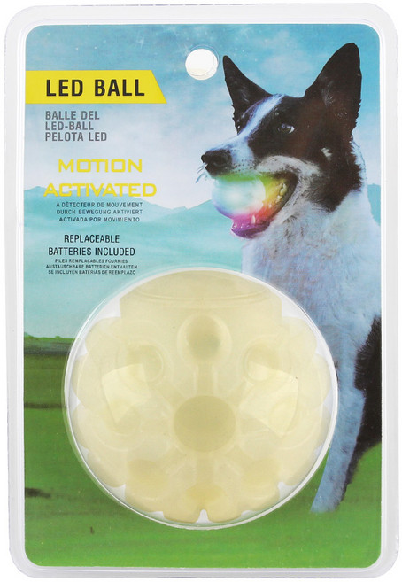 도그아이 강아지 훈련용 LED 볼 63mm, 화이트, 1개