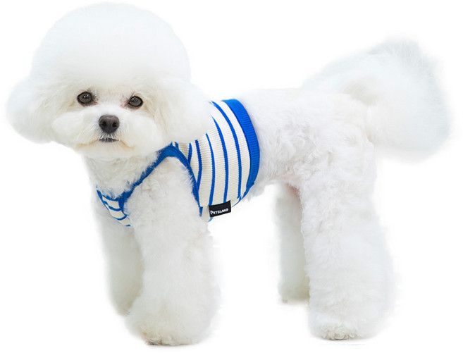 펫츠랜드 꾸안꾸 크롭 티셔츠, 블루, 1개