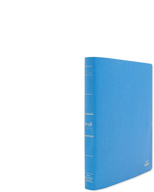 인디 가띠 링 클리어파일 40매, 청색, 1개