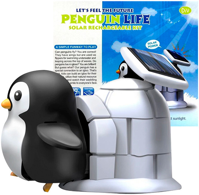빅드림 STEAM 태양열에너지 과학교구 DIY 세트 펭귄라이프, 1세트
