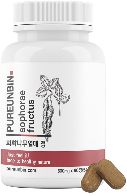 푸른빈 회화나무열매 정 600mg, 54g, 1개
