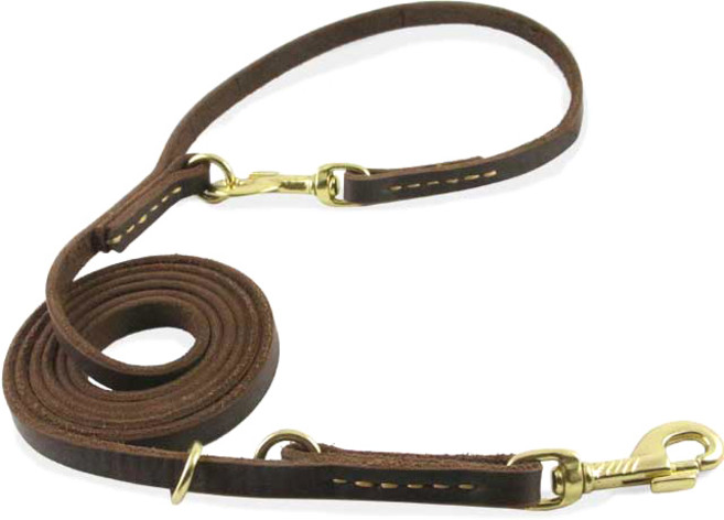 가죽 양면 다용도 반려동물 리드줄, 브라운, 1개