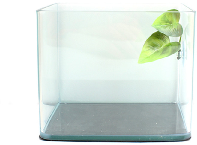 라운드 미니어항 + 아쿠아후레쉬 베타침대 수조 세트, 혼합색상, 1개