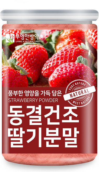 부영한방약초 동결건조 딸기 분말, 1개, 200g