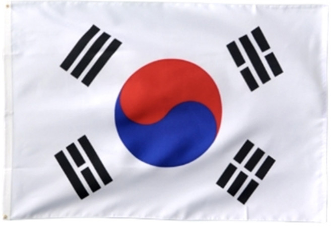 리빙다 태극기 6호 + 끈 2개, 혼합색상, 1개