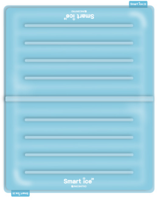 인콘트로 스포츠 스마트 풀사이즈 아이스 쿨매트, 하늘