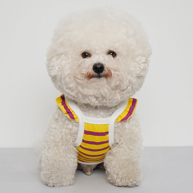 바이담수미 사과 크롭 반려동물 나시, 옐로우, 1개