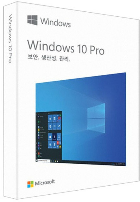 마이크로소프트 윈도우 10 프로 FPP
