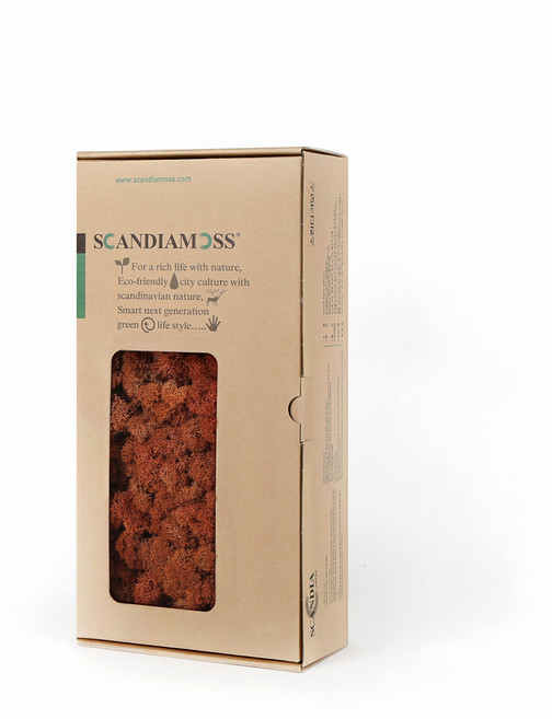 SCANDIAMOSS 苔蘚 RM500 芒果 500g, 1個