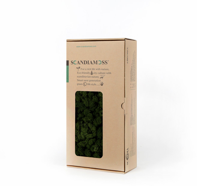 SCANDIAMOSS DIY 苔蘚 RM500 苔蘚綠 500g, 1個