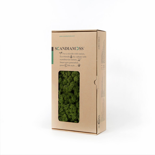 SCANDIAMOSS 苔蘚 RM500 中綠色 500g, 1個