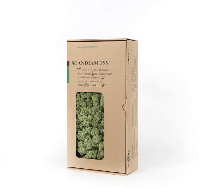 SCANDIAMOSS 苔蘚 RM500 薄荷 500g, 1個