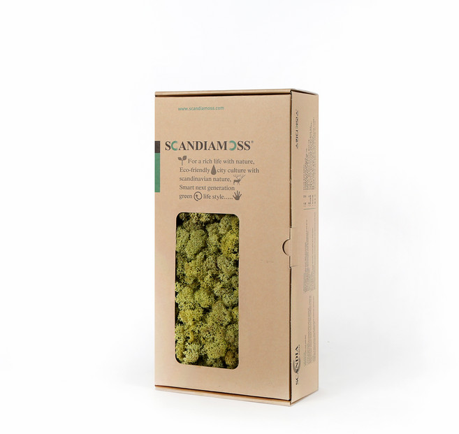 SCANDIAMOSS 苔蘚 RM500 復古春綠 500g, 1個