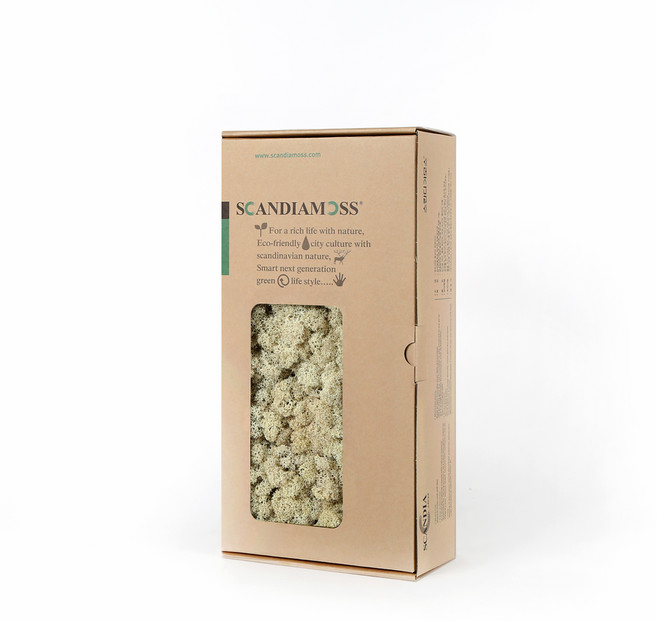 SCANDIAMOSS 裝飾用苔蘚 RM500 500g, 1個