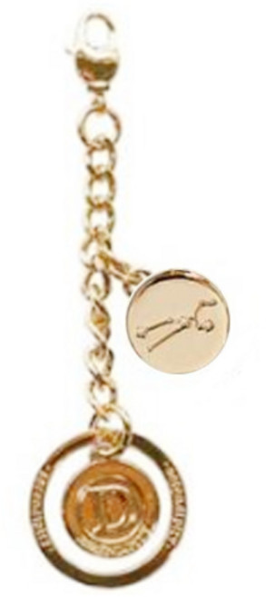 디랩 별자리 키링