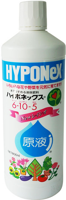 하이포넥스 레이쇼 원액 식물영양제, 800ml, 1개