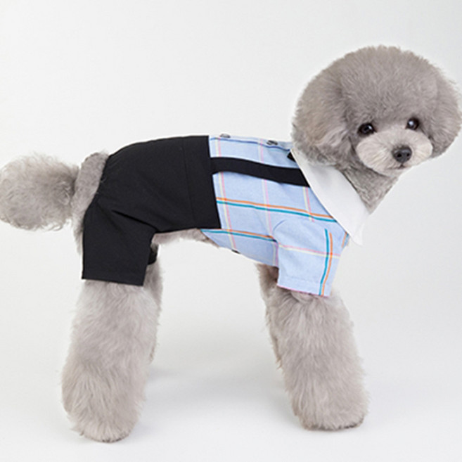 새코밍 반려견 정장스타일 바지, 체크 블루, 1개