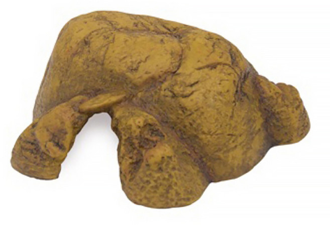 엑소테라 파충류 바위 은신처 중, 혼합색상, 1개