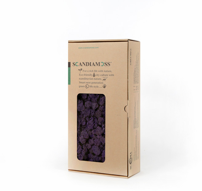 SCANDIAMOSS 苔蘚 RM500 紫色, 1個