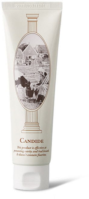 베러데이 칸디데 치약, 120g, 1개