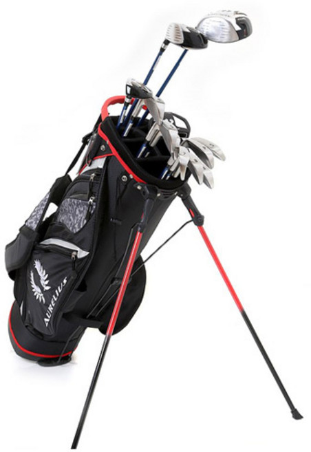 아우랠리우스 TOUR LION 골프 풀세트, 남 스틸 SR