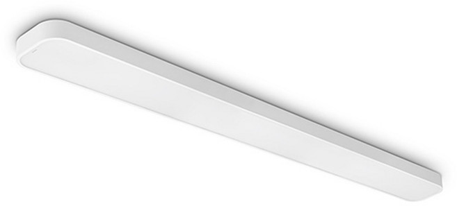 필립스 LED 주방등 주광색 55W, 화이트