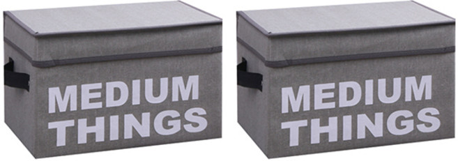 마켓피오 영문프린트 부직포 다용도 보관함, 그레이, 33 x 21 x 21 cm, 2개