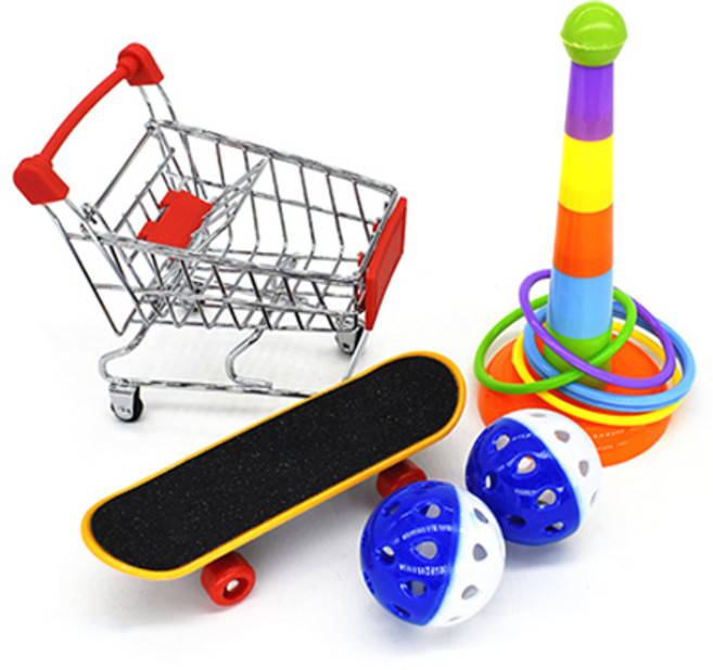 더플로우 앵무새 신기방기 훈련 장난감 5p 세트, 랜덤발송, 1세트