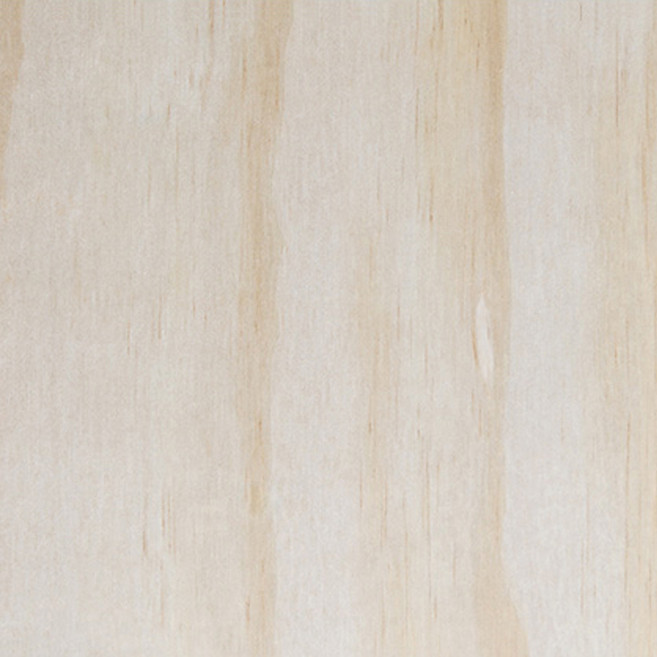 페인트인포 미송합판 두께 18 x 600 x 800 mm, 1개