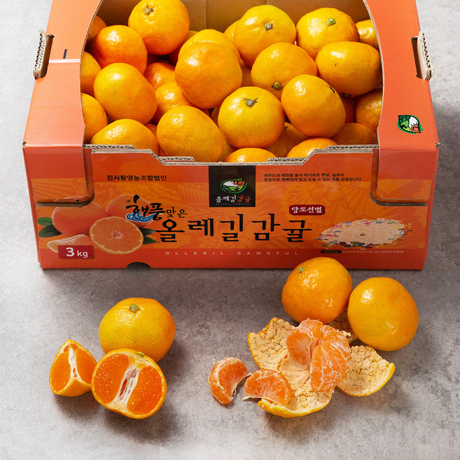 올레길 AI 당도선별 11brix 감귤, 3kg(로열과), 1개