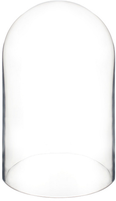 토다스 까레까 글라스돔 대, 1개