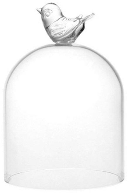 토다스 파사루 유리돔, 1개