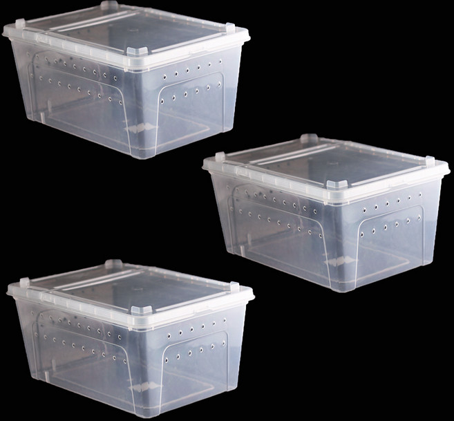 코코넷 반투명 케이지 대, 3개