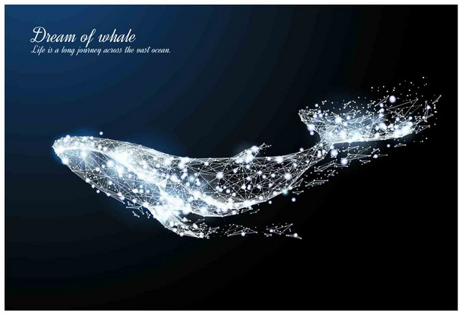 주방 아트보드 고래의꿈 실버, 1개