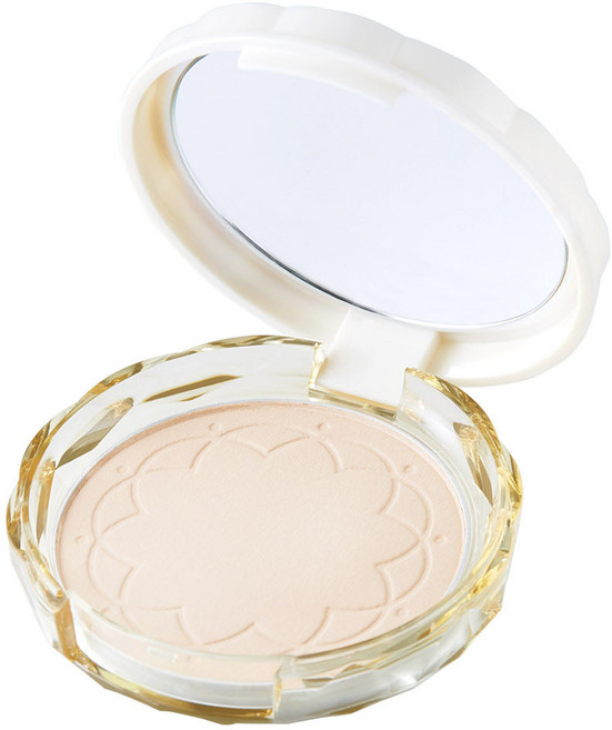 세잔느 실크 커버 팩트 파우더 10g, 01라이트, 1개