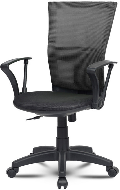 체어포커스 피크닉 베이직 메쉬 의자 CP1, 블랙