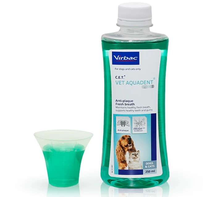 버박 아쿠아덴트 강아지 고양이 양치 입냄새 덴탈워터 마시는 치약, 250ml, 1개 - 쿠팡