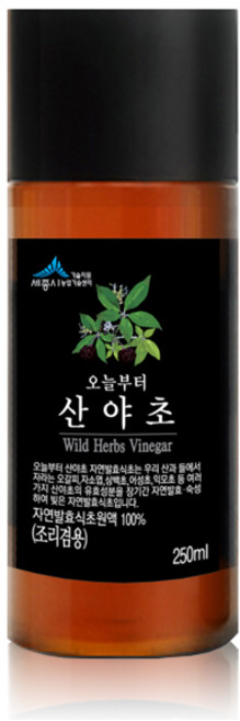 오늘부터 산야초 자연발효 식초, 250ml, 1개