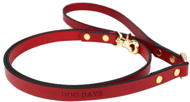 도그데이즈 반려동물 프리미엄 가죽 리드줄, 1개, 레드