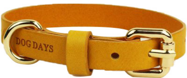 도그데이즈 반려동물 프리미엄 가죽 엘로우 목줄, 혼합색상, 1세트
