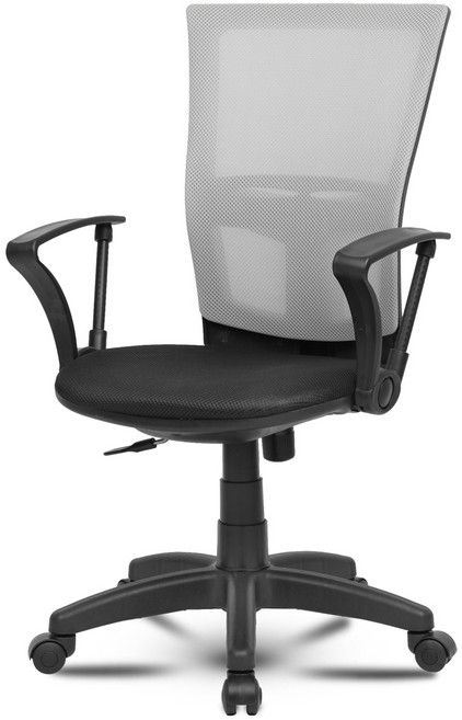 체어포커스 피크닉 베이직 메쉬 의자 CP1, 그레이