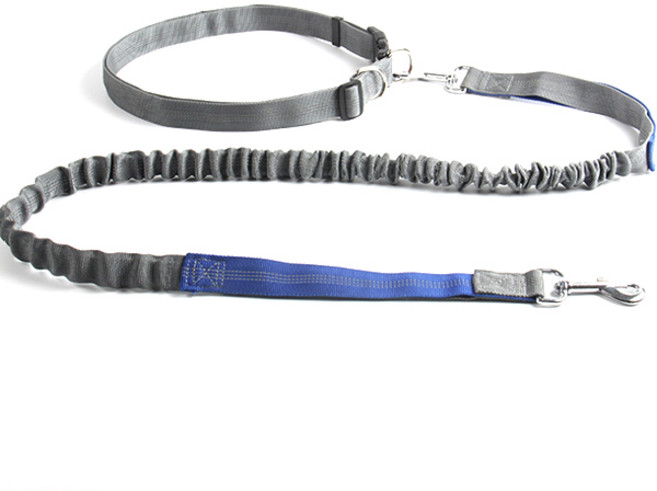 파스텔펫 핸즈프리 허리밴드 반려동물 리드줄세트, C타입, 1개